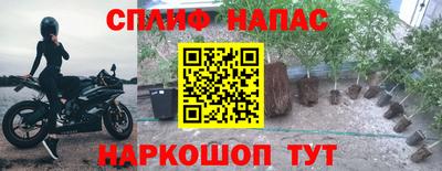 прущие крисы Тверь