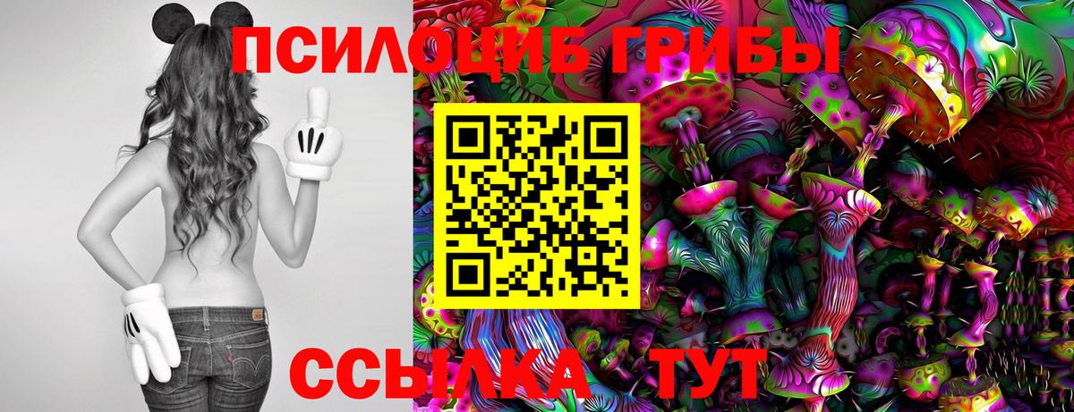 Галлюциногенные грибы MAGIC MUSHROOMS  Галлюциногенные грибы мухоморы  цены наркотик  Родники  Вход с VPN 