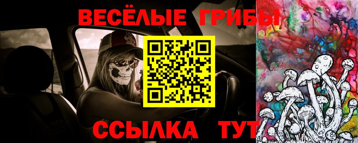 Псилоцибиновые грибы прущие грибы Родники
